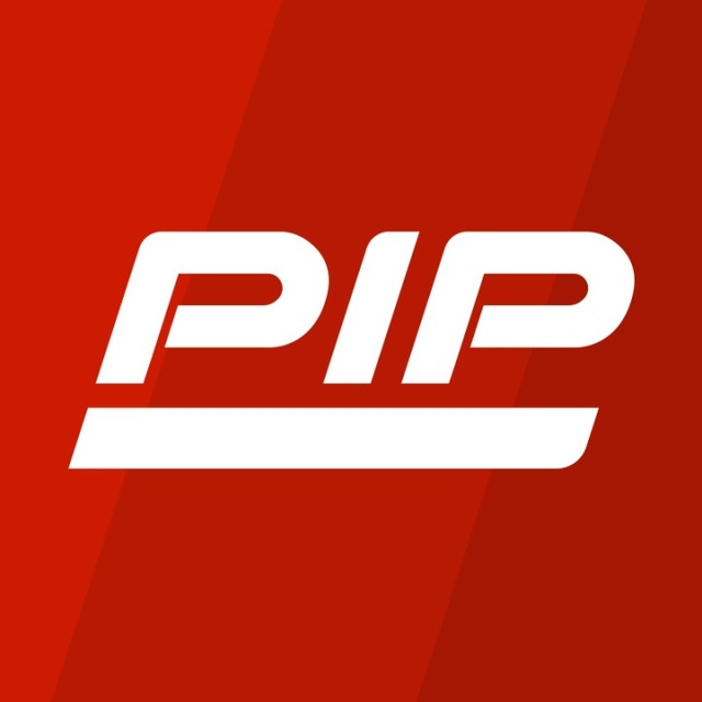 PIP Logo